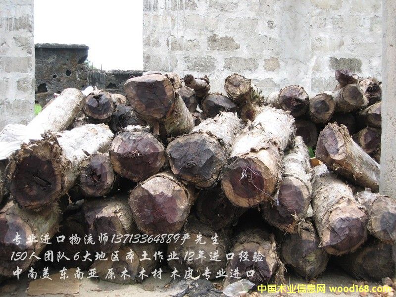 �M�ڱ���ľ��/����ľ��/����ľ���M�ڈ��P