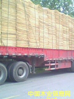 ��Ƥ���ΰ��Ԕ��(x��)��B