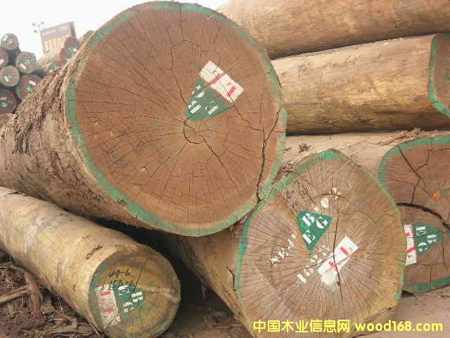 ľ�ĵ�Ԕ����B