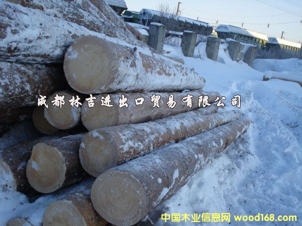 ������ԭľ