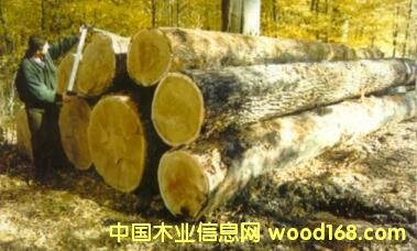 ��ľԭľ��Ƭ��Ԕ��(x��)��B