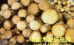 ɼľԭľ��Ƭ��Ԕ��(x��)��B