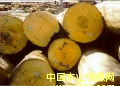 ɽë��ԭľ��Ƭ��Ԕ��(x��)��B