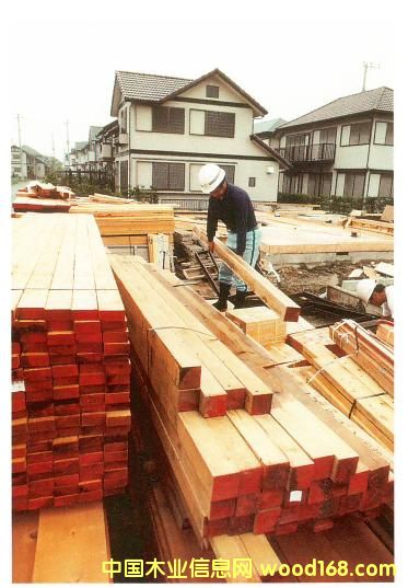 �Fɼ-��ɼ��Ԕ����B