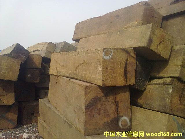 ����ľ��Ԕ����B