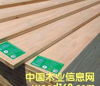 ��(x��)ľ�����Ԕ��(x��)��B