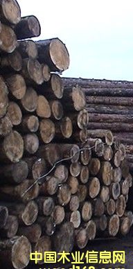 ���P̴��Ԕ��(x��)��B