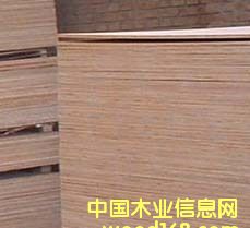 �ߙn��ˮ����ģ���Ԕ��(x��)��B