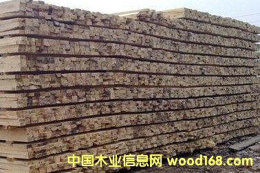 ��ľľ����Ԕ����B