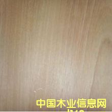 �t���ң���/ֱ�y������