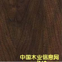 �ں��ң�ֱ������