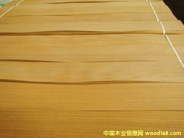 ��ľ���ذ�ľƤ