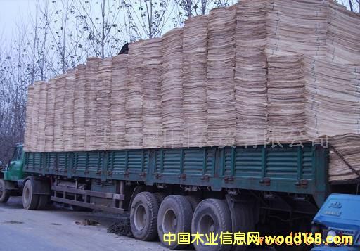 ��ľ����Ƥ