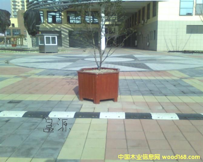 ���{(l��n)��Ԕ��(x��)��B