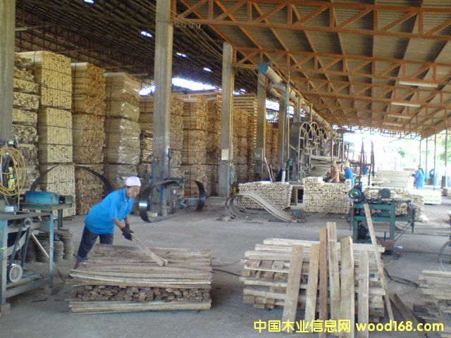 ���zľƬ��