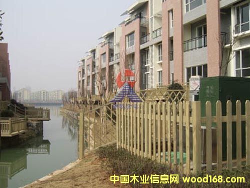 ���ڵ�Ԕ����B