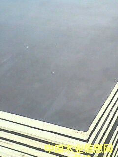 �ڸ�Ĥ����ģ��