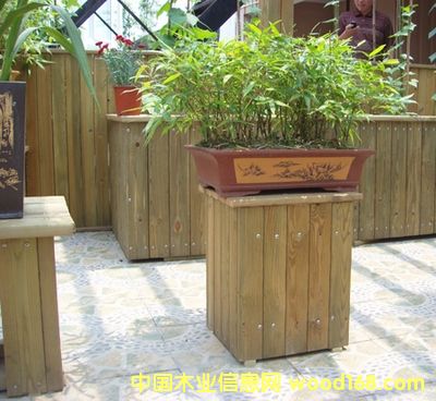 �Ϸ��ɷ���ľ��Ԕ��(x��)��B