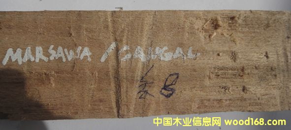 �X��ľ��Ԕ����B