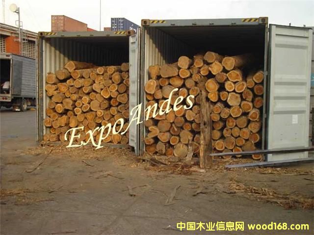 ��ľԭľ��Ԕ��(x��)��B