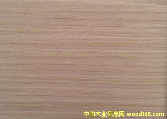 ���ټҾ�ľƤ��Ԕ����B