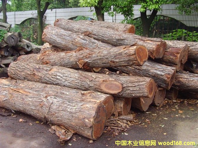 �t�F����Ԕ����B