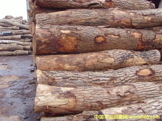 ���޻���