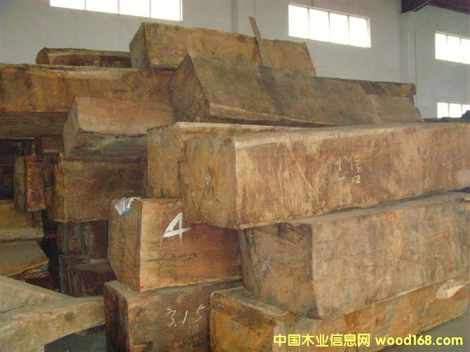 ����ľ�����ģ�