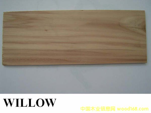 FSCľ��:����(gu��)��ľ��Ԕ��(x��)��B