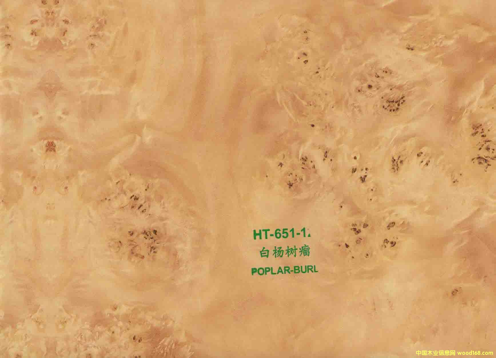 ���ľ�y��