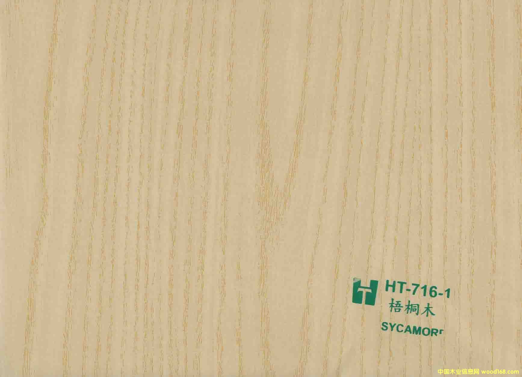 ��ͩľľ�y��