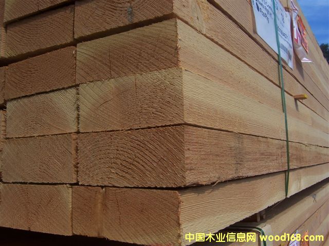 ���ô� ���� �M(j��n)�� ������