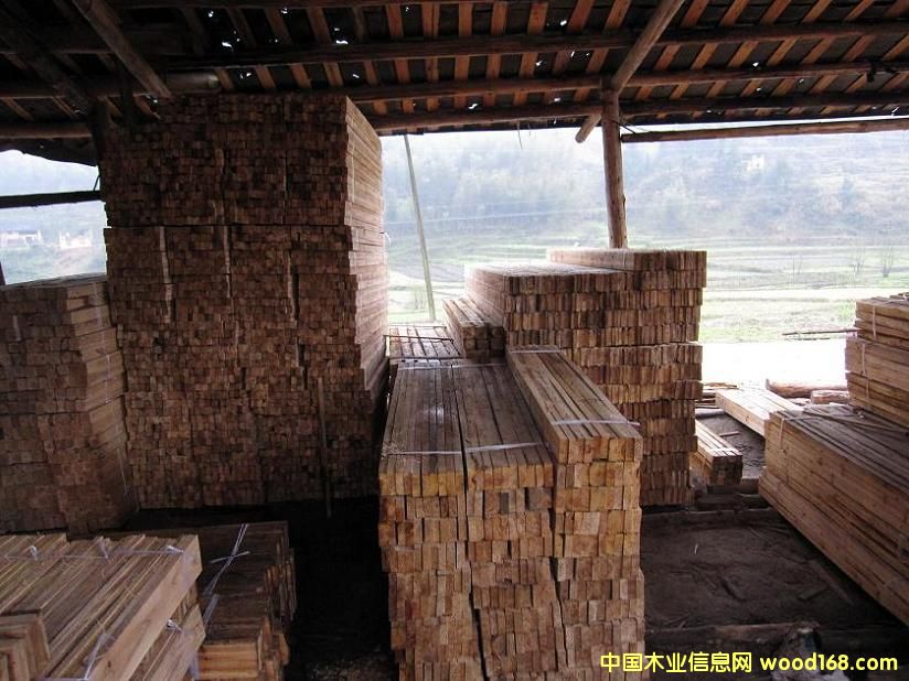 ľ����ľ�������