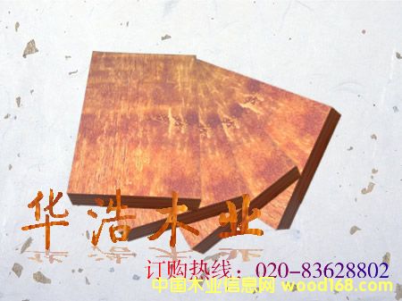 ����ģ��2��Ԕ��(x��)��B