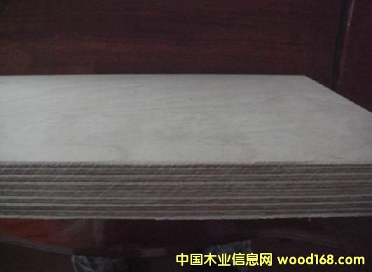 ȫ��ľ�z�ϰ� 