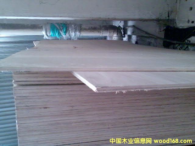 ������Ԕ��(x��)��B