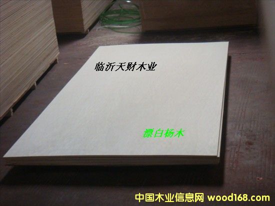 Ư�ח�ľ���Ӱ�