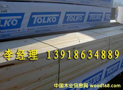 ����SPF���