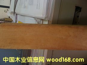 ���zľ��Ԕ����B