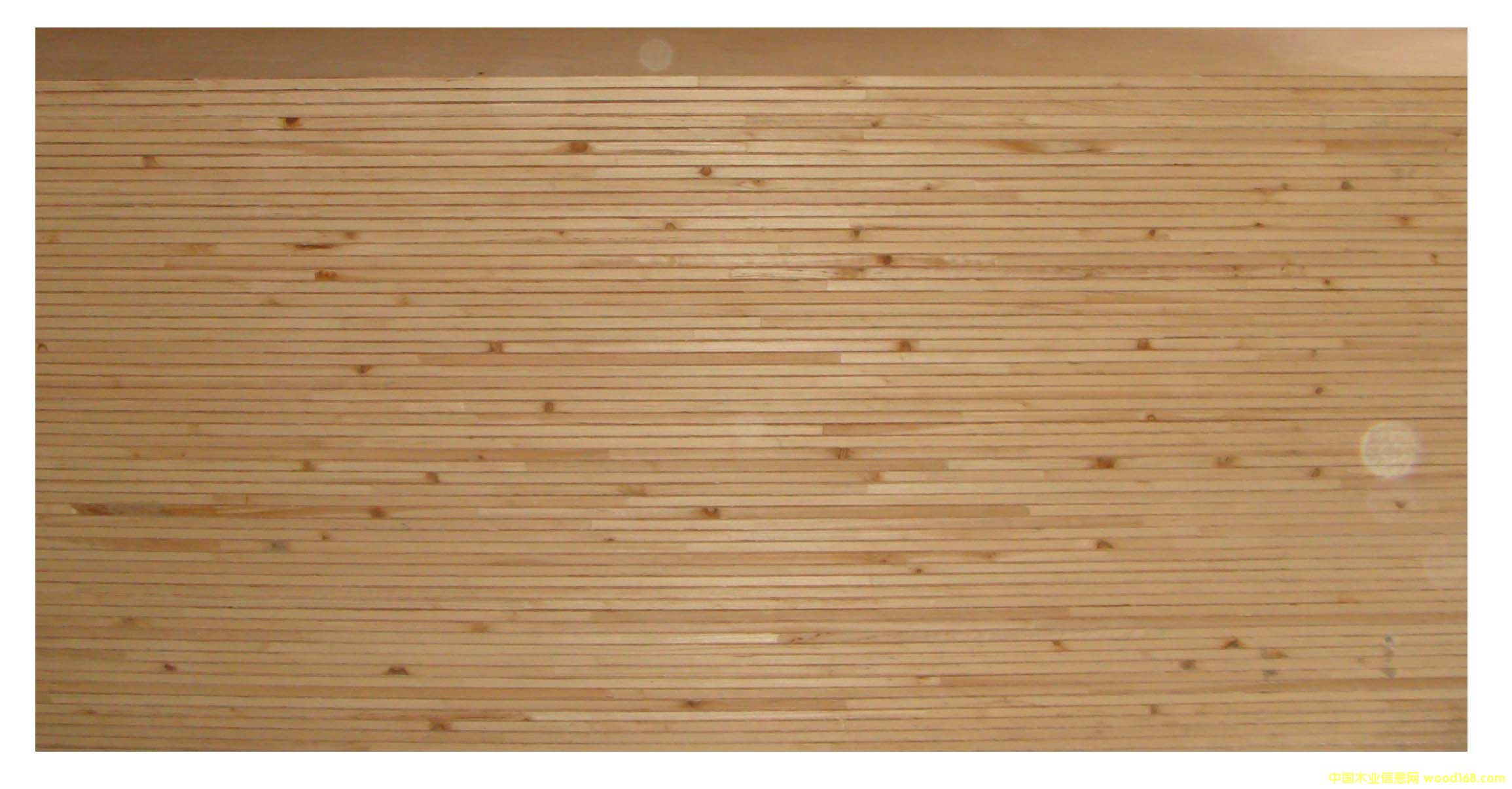 ɼľ��ľ�����Ԕ����B