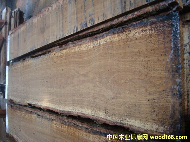 ��Ȼ�����L(zh��ng)������ľ���3