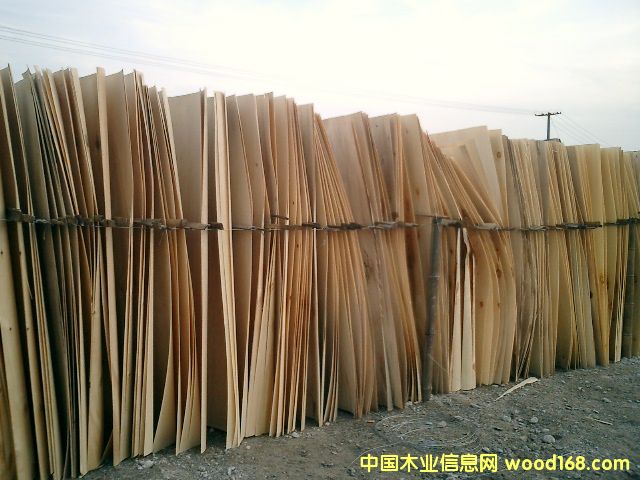 ��ľ��о��