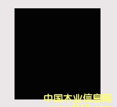 ��Ĥ����Ԕ��(x��)��B