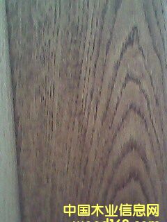 �|����ľ������)��Ԕ����B