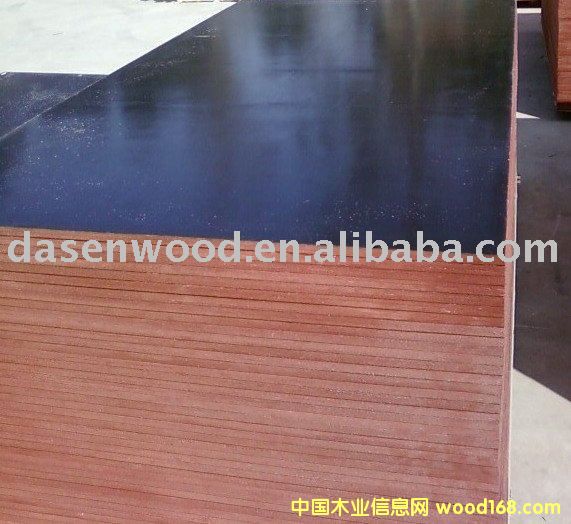 ��Ĥ��Ĥ��