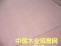 �N����Ԕ����B