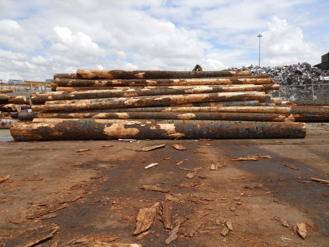 ����(gu��)�����ɵ�Ԕ��(x��)��B