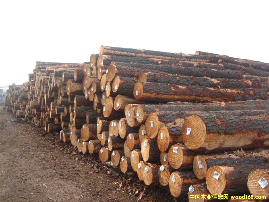 �Ĵ�����ݗ����