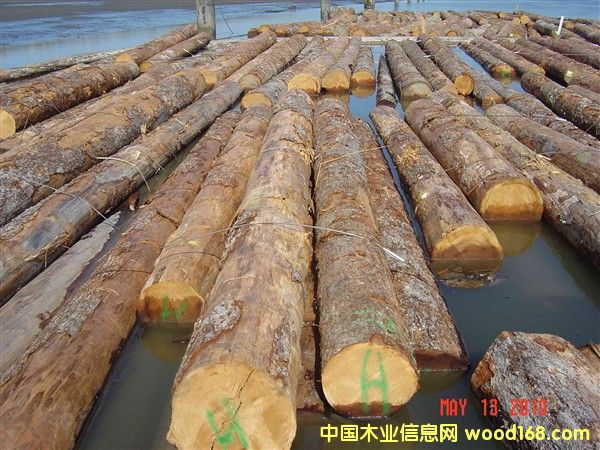 ���ô��Fɼԭľ