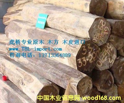 ԭľ�M(j��n)�ڈ��P(gu��n)����